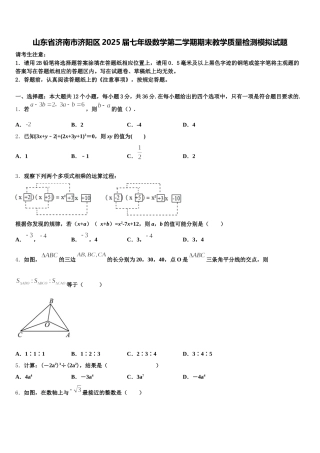 山东省济南市济阳区2025届七年级数学第二学期期末教学质量检测模拟试题含解析