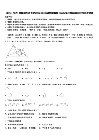 2024-2025学年山东省青岛市崂山区部分中学数学七年级第二学期期末综合测试试题含解析