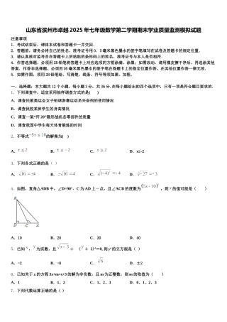 山东省滨州市卓越2025年七年级数学第二学期期末学业质量监测模拟试题含解析