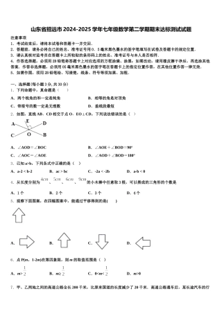 山东省招远市2024-2025学年七年级数学第二学期期末达标测试试题含解析