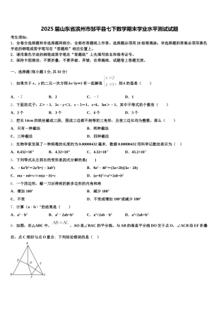 2025届山东省滨州市邹平县七下数学期末学业水平测试试题含解析