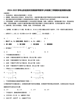 2024-2025学年山东省滨州无棣县联考数学七年级第二学期期末监测模拟试题含解析