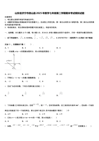 山东省济宁市微山县2025年数学七年级第二学期期末考试模拟试题含解析