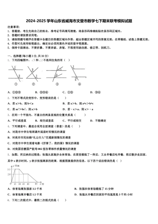 2024-2025学年山东省威海市文登市数学七下期末联考模拟试题含解析