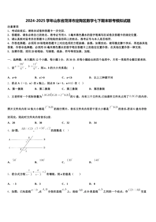 2024-2025学年山东省菏泽市定陶区数学七下期末联考模拟试题含解析