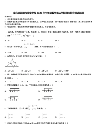 山东省海阳市美宝学校2025年七年级数学第二学期期末综合测试试题含解析