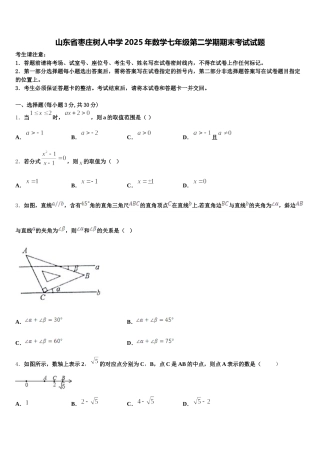 山东省枣庄树人中学2025年数学七年级第二学期期末考试试题含解析