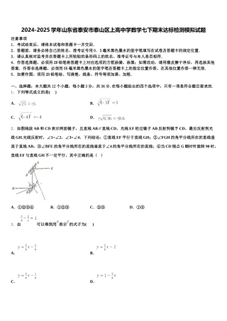 2024-2025学年山东省泰安市泰山区上高中学数学七下期末达标检测模拟试题含解析