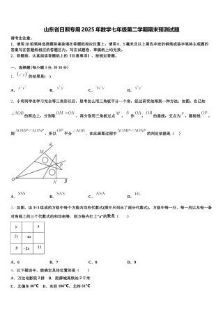山东省日照专用2025年数学七年级第二学期期末预测试题含解析