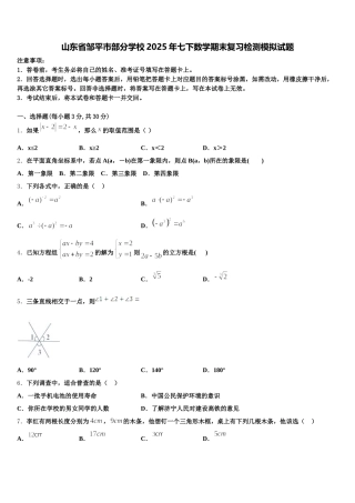 山东省邹平市部分学校2025年七下数学期末复习检测模拟试题含解析