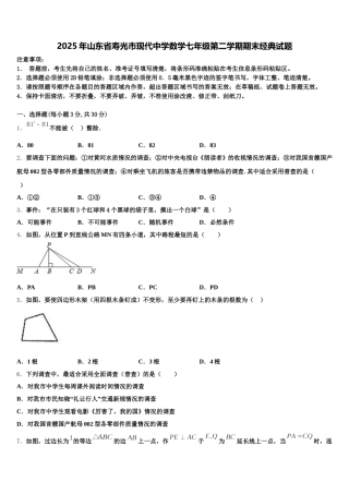 2025年山东省寿光市现代中学数学七年级第二学期期末经典试题含解析