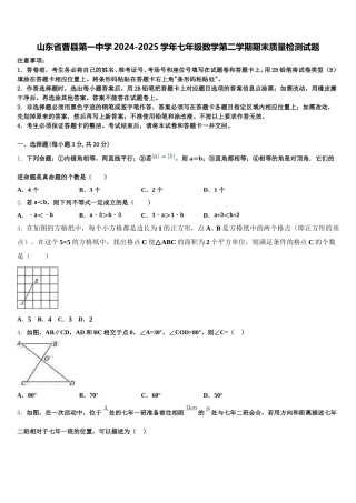 山东省曹县第一中学2024-2025学年七年级数学第二学期期末质量检测试题含解析