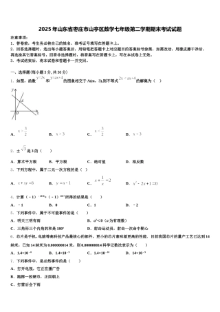 2025年山东省枣庄市山亭区数学七年级第二学期期末考试试题含解析