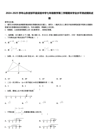2024-2025学年山东省邹平县实验中学七年级数学第二学期期末学业水平测试模拟试题含解析