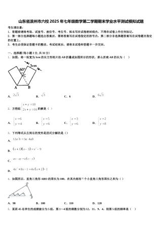 山东省滨州市六校2025年七年级数学第二学期期末学业水平测试模拟试题含解析
