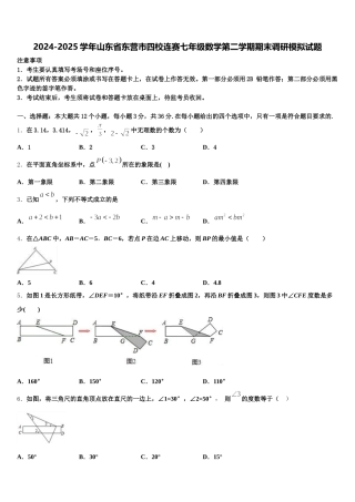 2024-2025学年山东省东营市四校连赛七年级数学第二学期期末调研模拟试题含解析