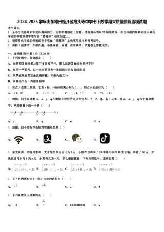 2024-2025学年山东德州经开区抬头寺中学七下数学期末质量跟踪监视试题含解析