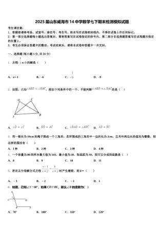 2025届山东威海市14中学数学七下期末检测模拟试题含解析