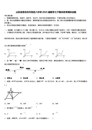 山东省青岛市开发区八中学2025届数学七下期末统考模拟试题含解析
