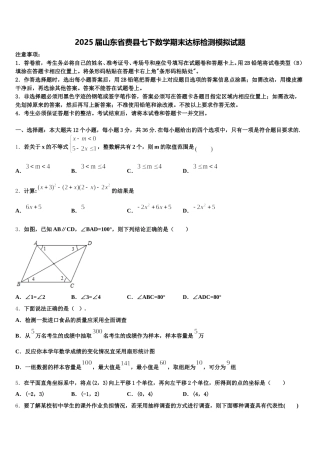 2025届山东省费县七下数学期末达标检测模拟试题含解析
