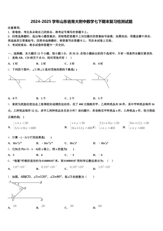 2024-2025学年山东省青大附中数学七下期末复习检测试题含解析