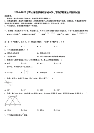 2024-2025学年山东省邹城市邹城中学七下数学期末达标测试试题含解析