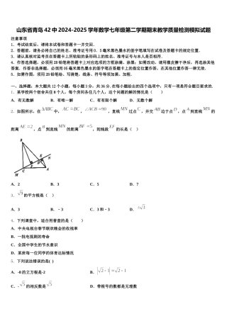山东省青岛42中2024-2025学年数学七年级第二学期期末教学质量检测模拟试题含解析