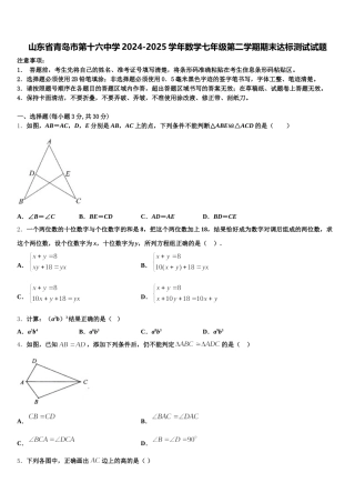 山东省青岛市第十六中学2024-2025学年数学七年级第二学期期末达标测试试题含解析