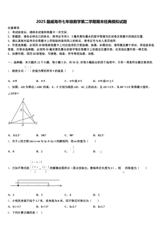 2025届威海市七年级数学第二学期期末经典模拟试题含解析
