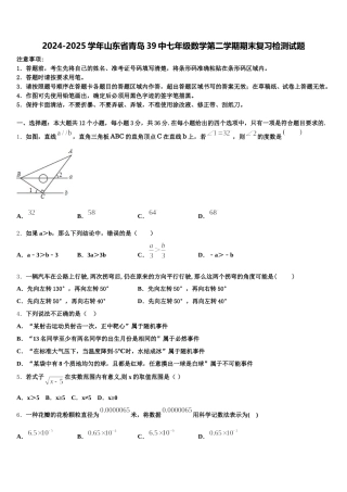 2024-2025学年山东省青岛39中七年级数学第二学期期末复习检测试题含解析