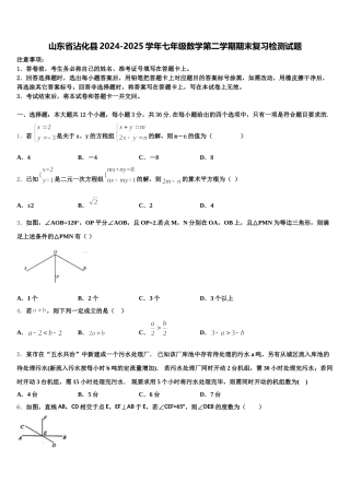 山东省沾化县2024-2025学年七年级数学第二学期期末复习检测试题含解析