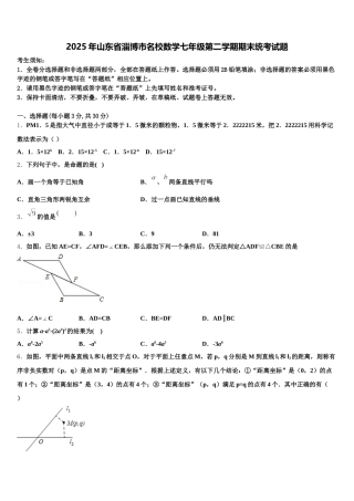 2025年山东省淄博市名校数学七年级第二学期期末统考试题含解析