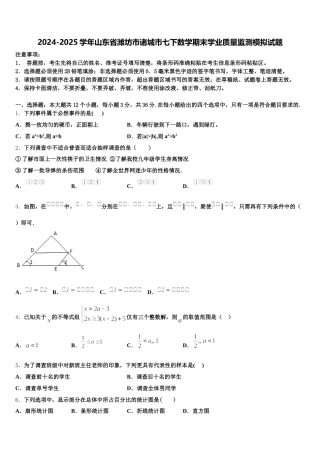 2024-2025学年山东省潍坊市诸城市七下数学期末学业质量监测模拟试题含解析