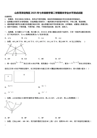 山东菏泽定陶区2025年七年级数学第二学期期末学业水平测试试题含解析