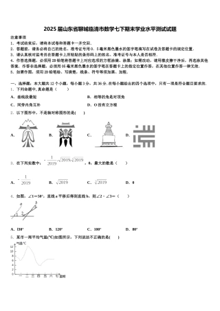 2025届山东省聊城临清市数学七下期末学业水平测试试题含解析