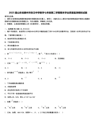 2025届山东省滕州市张汪中学数学七年级第二学期期末学业质量监测模拟试题含解析