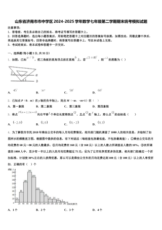 山东省济南市市中学区2024-2025学年数学七年级第二学期期末统考模拟试题含解析