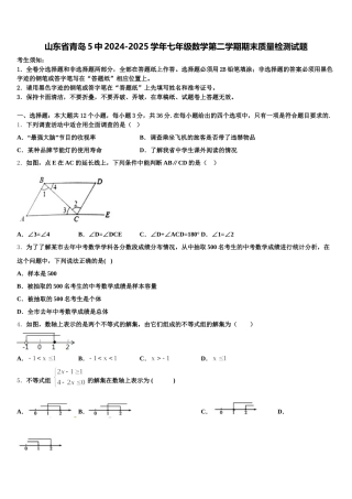 山东省青岛5中2024-2025学年七年级数学第二学期期末质量检测试题含解析