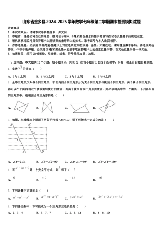 山东省金乡县2024-2025学年数学七年级第二学期期末检测模拟试题含解析