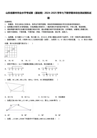 山东省滕州市业水平考试数（基础卷）2024-2025学年七下数学期末综合测试模拟试题含解析