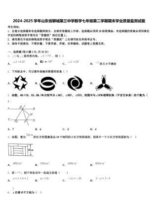 2024-2025学年山东省聊城第三中学数学七年级第二学期期末学业质量监测试题含解析