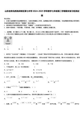 山东省青岛西海岸新区第七中学2024-2025学年数学七年级第二学期期末复习检测试题含解析
