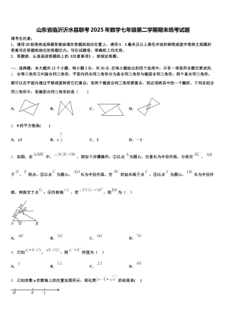 山东省临沂沂水县联考2025年数学七年级第二学期期末统考试题含解析