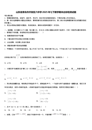 山东省青岛市开发区六中学2025年七下数学期末达标检测试题含解析