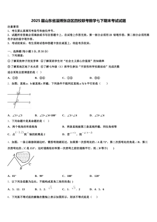 2025届山东省淄博张店区四校联考数学七下期末考试试题含解析