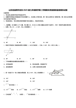 山东省淄博市名校2025届七年级数学第二学期期末质量跟踪监视模拟试题含解析