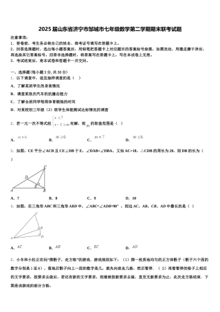 2025届山东省济宁市邹城市七年级数学第二学期期末联考试题含解析
