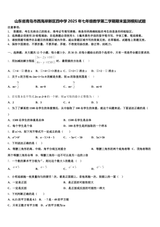 山东省青岛市西海岸新区四中学2025年七年级数学第二学期期末监测模拟试题含解析