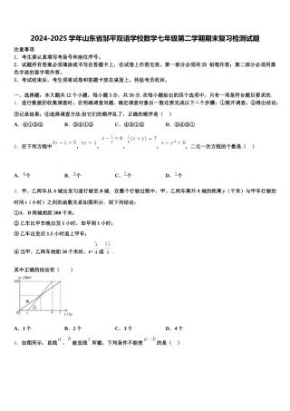 2024-2025学年山东省邹平双语学校数学七年级第二学期期末复习检测试题含解析