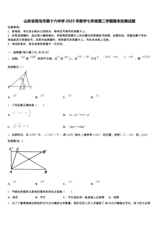山东省青岛市第十六中学2025年数学七年级第二学期期末经典试题含解析
